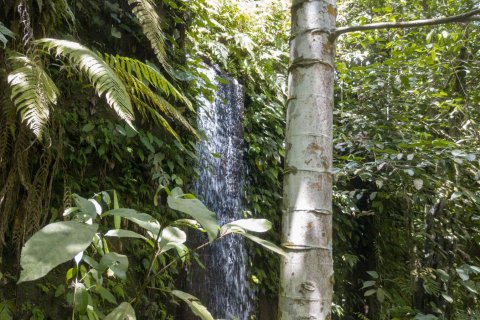 Land in Buwit, Kediri, Tabanan, Bali (4420) 14