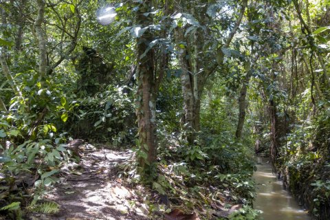 Land in Buwit, Kediri, Tabanan, Bali (4420) 20