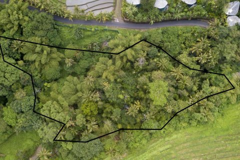 Land in Buwit, Kediri, Tabanan, Bali (4420)