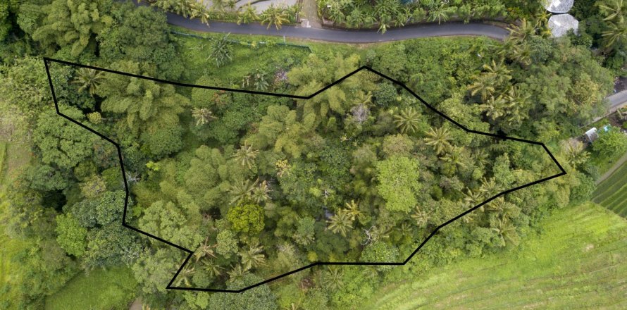 Land in Buwit, Kediri, Tabanan, Bali (4420)