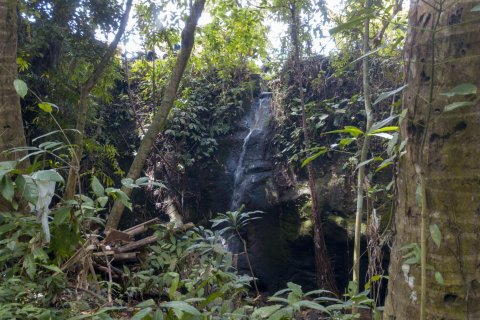 Land in Buwit, Kediri, Tabanan, Bali (4420) 3