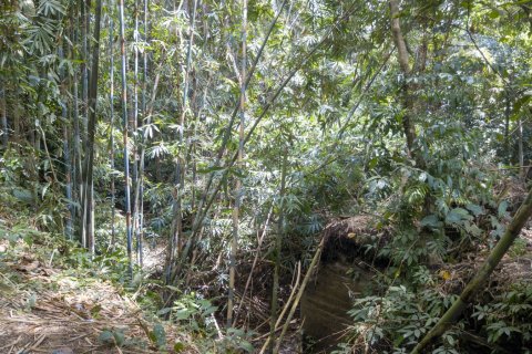 Land in Buwit, Kediri, Tabanan, Bali (4420) 22