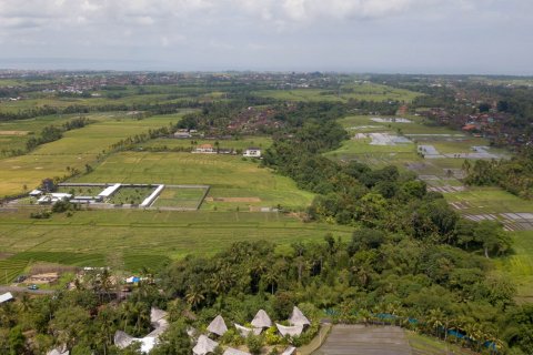 Land in Buwit, Kediri, Tabanan, Bali (4420) 8
