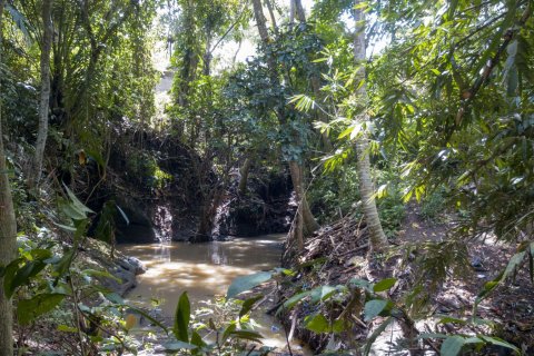 Land in Buwit, Kediri, Tabanan, Bali (4420) 16