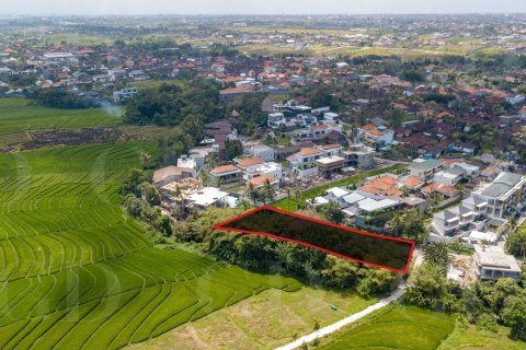 Land in Pererenan, Mengwi, Badung, Bali (4419) 3