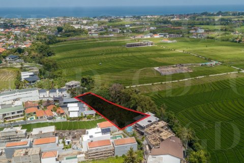 Land in Pererenan, Mengwi, Badung, Bali (4419) 4