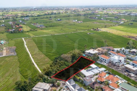 Land in Pererenan, Mengwi, Badung, Bali (4419) 2