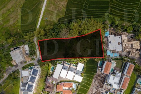 Land in Pererenan, Mengwi, Badung, Bali (4419)