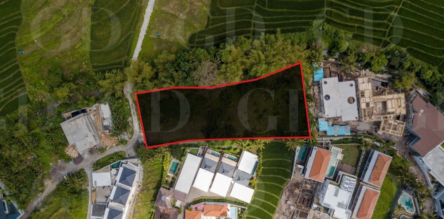Land in Pererenan, Mengwi, Badung, Bali (4419)