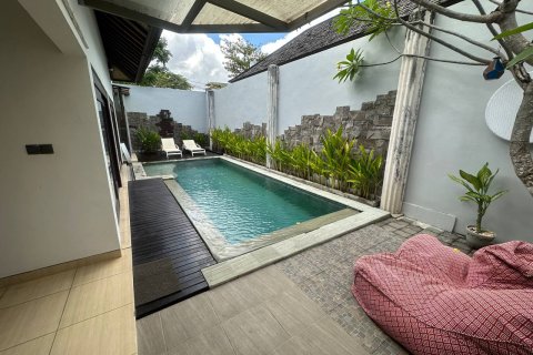 1 bedroom Villa in Canggu, Badung, Bali (15352)