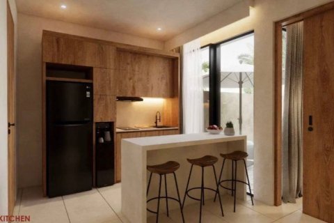 Studio Villa in Ubud, Gianyar, Bali (15507) 4