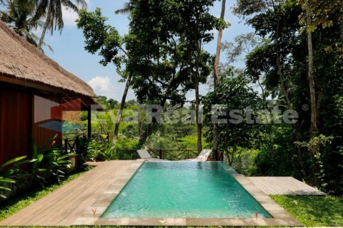 3 bedrooms Villa in Ubud, Gianyar, Bali (2451) 22