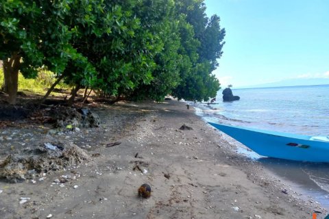 Land in Bali (12241) 1