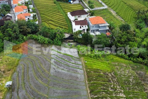 1200m2 Land in Pererenan, Mengwi, Badung, Bali (2386) 3