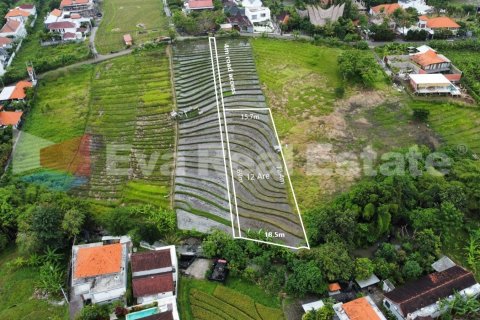 1200m2 Land in Pererenan, Mengwi, Badung, Bali (2386)
