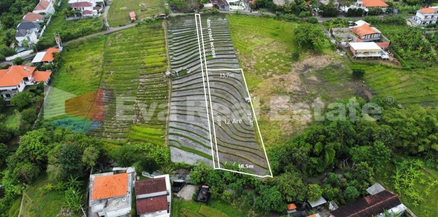 1200m2 Land in Pererenan, Mengwi, Badung, Bali (2386)