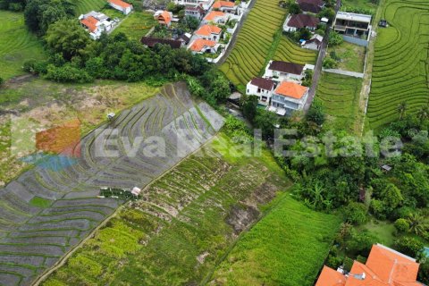 1200m2 Land in Pererenan, Mengwi, Badung, Bali (2386) 2
