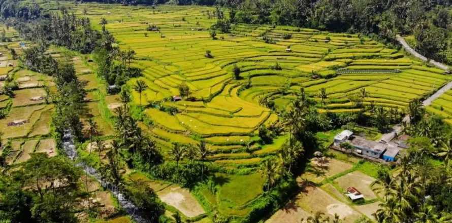 Land in Karangasem, Karang Asem, Bali (11454)