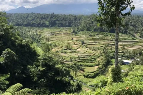 Land in Karangasem, Karang Asem, Bali (11454) 3