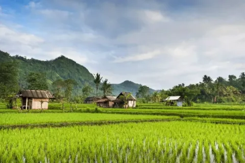 Land in Karangasem, Karang Asem, Bali (11454) 2