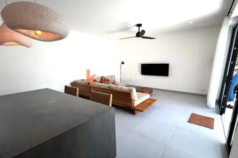 1 bedroom Villa in Canggu, Badung, Bali (12342) 8