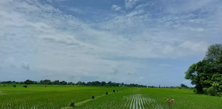 Land in Kediri, Tabanan, Bali (14046)