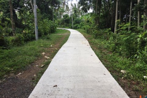 Land in Tabanan, Bali (14051)