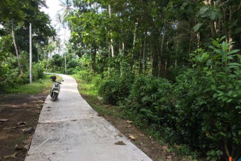 Land in Tabanan, Bali (14051) 7