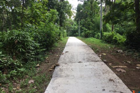 Land in Tabanan, Bali (14051) 6