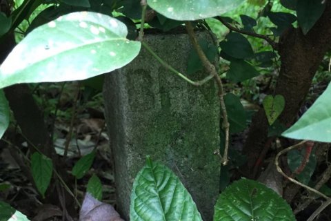 Land in Tabanan, Bali (14051) 3