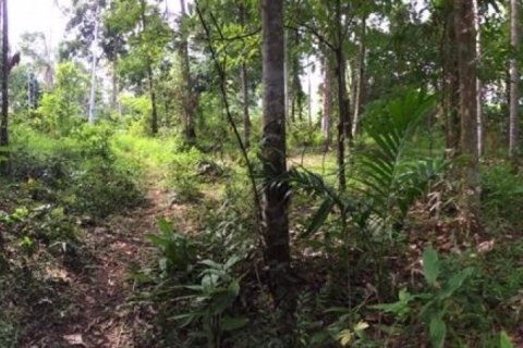 Land in Tabanan, Bali (14051) 4