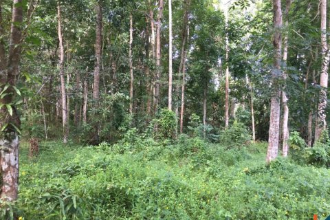 Land in Tabanan, Bali (14051) 2