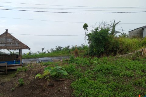 Land in Buleleng, Bali (14049) 2