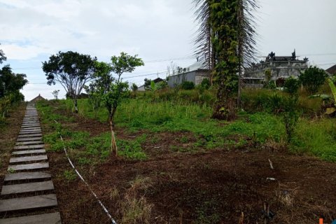 Land in Buleleng, Bali (14049) 5