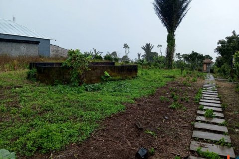 Land in Buleleng, Bali (14049) 3