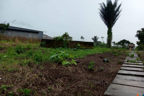 Land in Buleleng, Bali (14049)