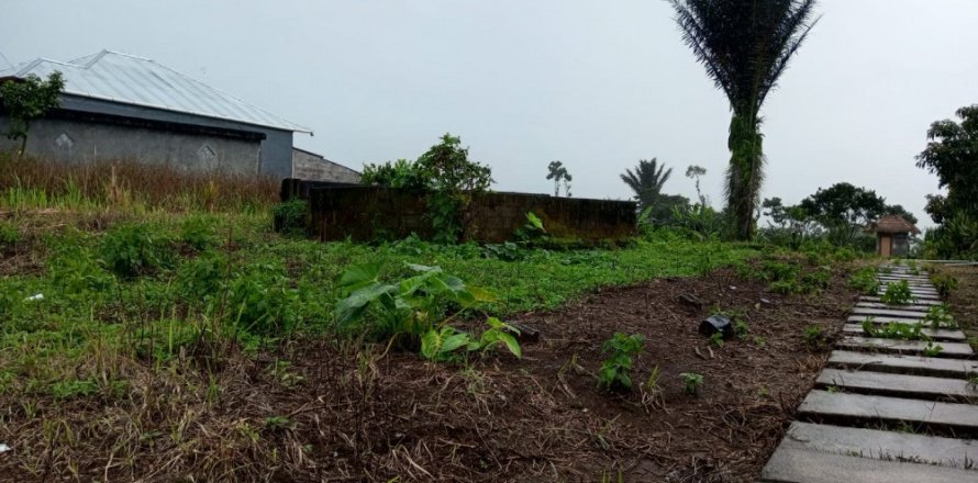 Land in Buleleng, Bali (14049)