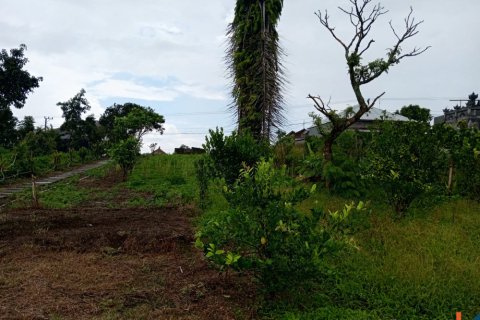 Land in Buleleng, Bali (14049) 4