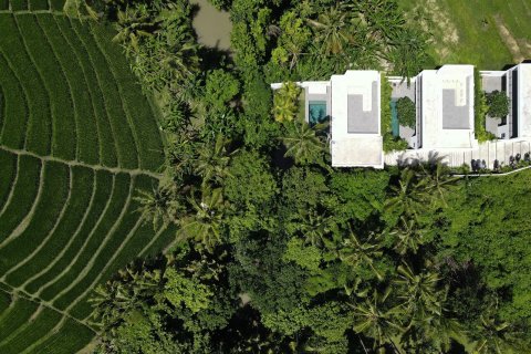 8 bedrooms Villa in Pererenan, Mengwi, Badung, Bali (15813)