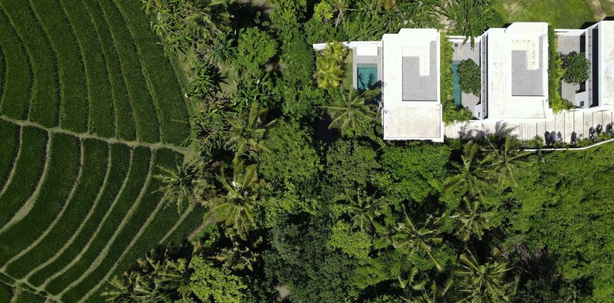 8 bedrooms Villa in Pererenan, Mengwi, Badung, Bali (15813)