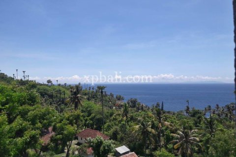 1 bedroom Apartment in Karangasem, Karang Asem, Bali (10403) 4