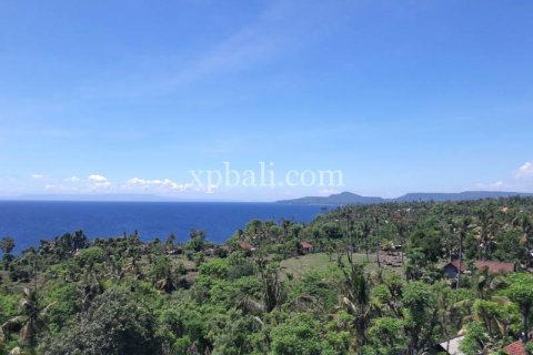 1 bedroom Apartment in Karangasem, Karang Asem, Bali (10403) 6