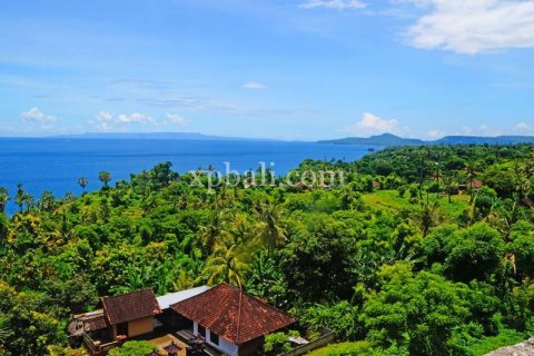 1 bedroom Apartment in Karangasem, Karang Asem, Bali (10403) 24