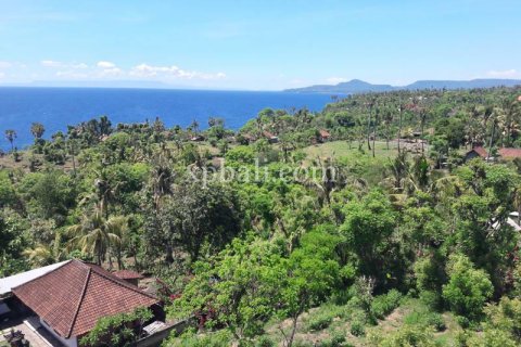 1 bedroom Apartment in Karangasem, Karang Asem, Bali (10403)