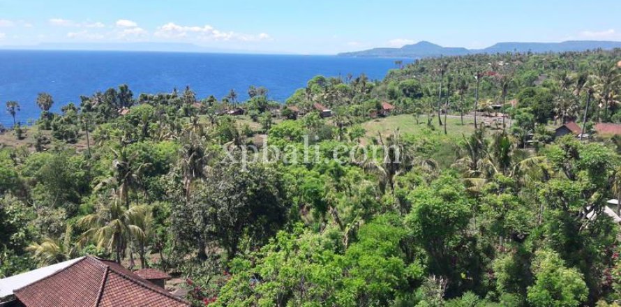 1 bedroom Apartment in Karangasem, Karang Asem, Bali (10403)