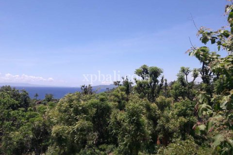 1 bedroom Apartment in Karangasem, Karang Asem, Bali (10403) 5
