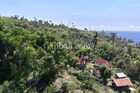 1 bedroom Apartment in Karangasem, Karang Asem, Bali (10403) 3