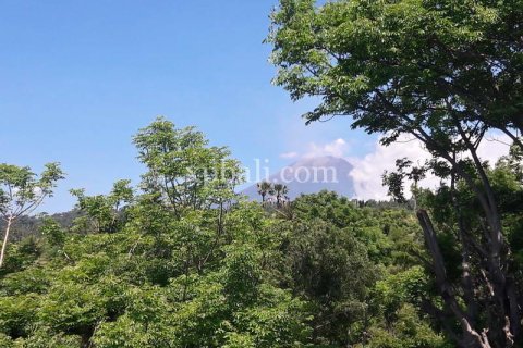 1 bedroom Apartment in Karangasem, Karang Asem, Bali (10403) 7