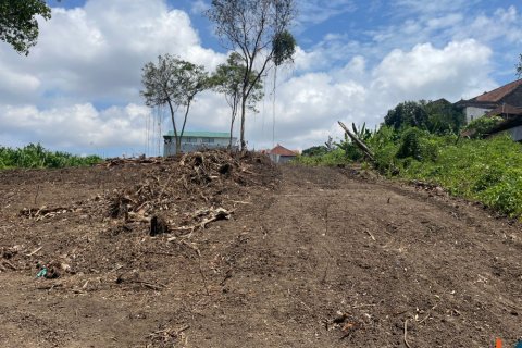 Land in Canggu, Badung, Bali (12061) 3