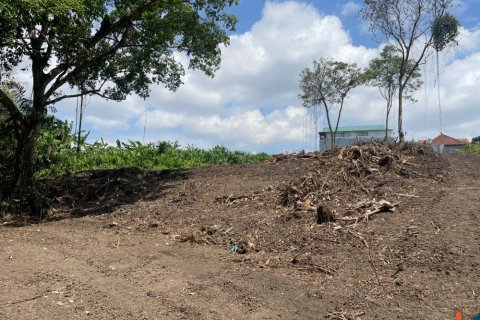 Land in Canggu, Badung, Bali (12061) 5